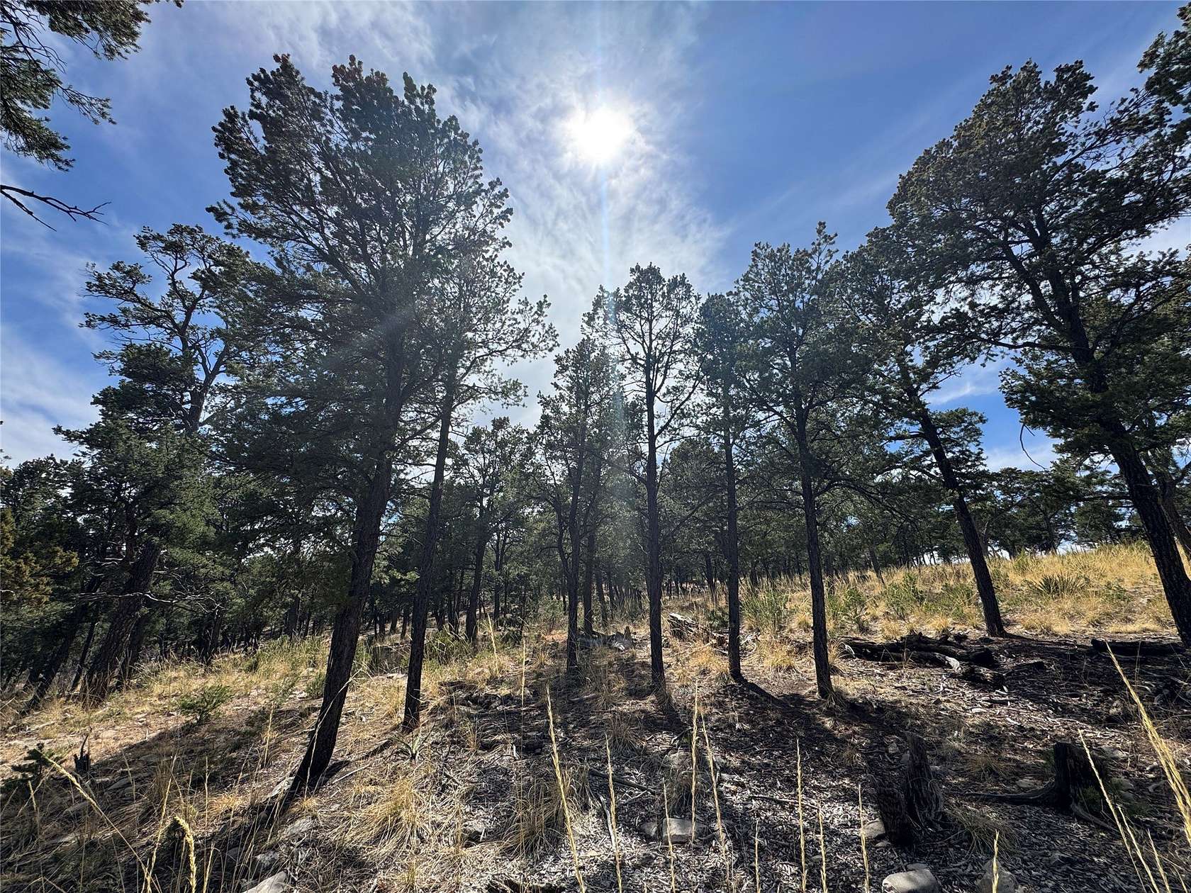 1.27 Acres of Residential Land for Sale in Pecos, New Mexico