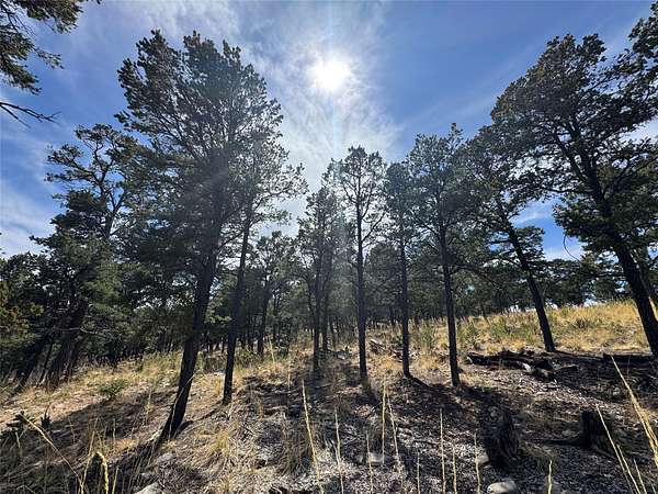 1.27 Acres of Residential Land for Sale in Pecos, New Mexico
