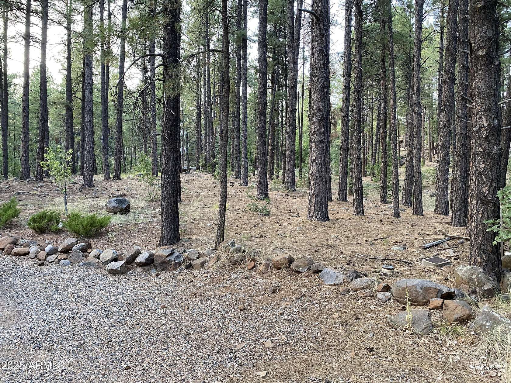 0.93 Acres of Residential Land for Sale in Munds Park, Arizona