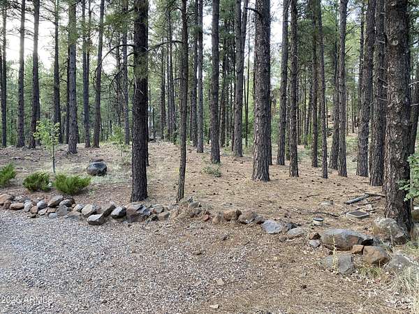 0.93 Acres of Residential Land for Sale in Munds Park, Arizona