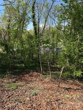 0.17 Acres of Residential Land for Sale in Woodfin, North Carolina