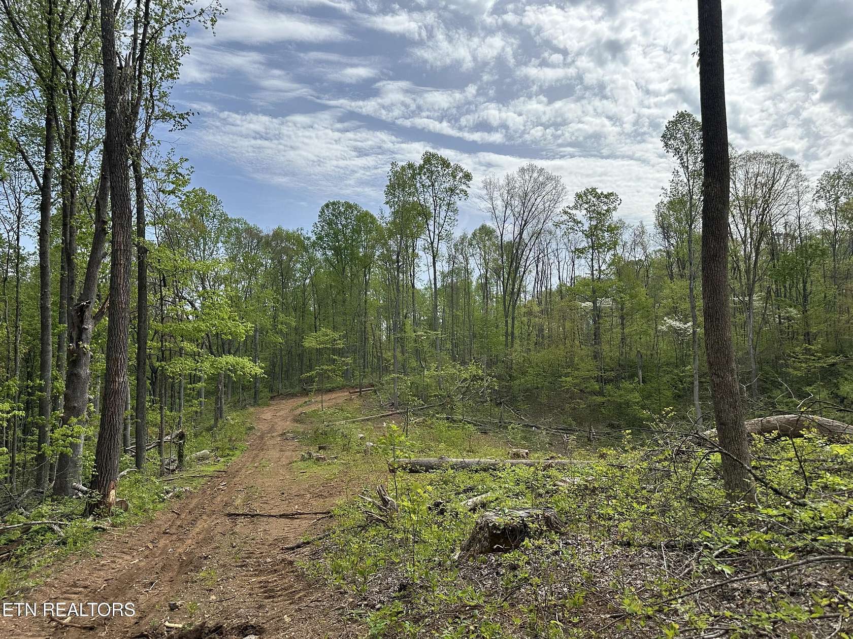 25.3 Acres of Land for Sale in Rocky Top, Tennessee