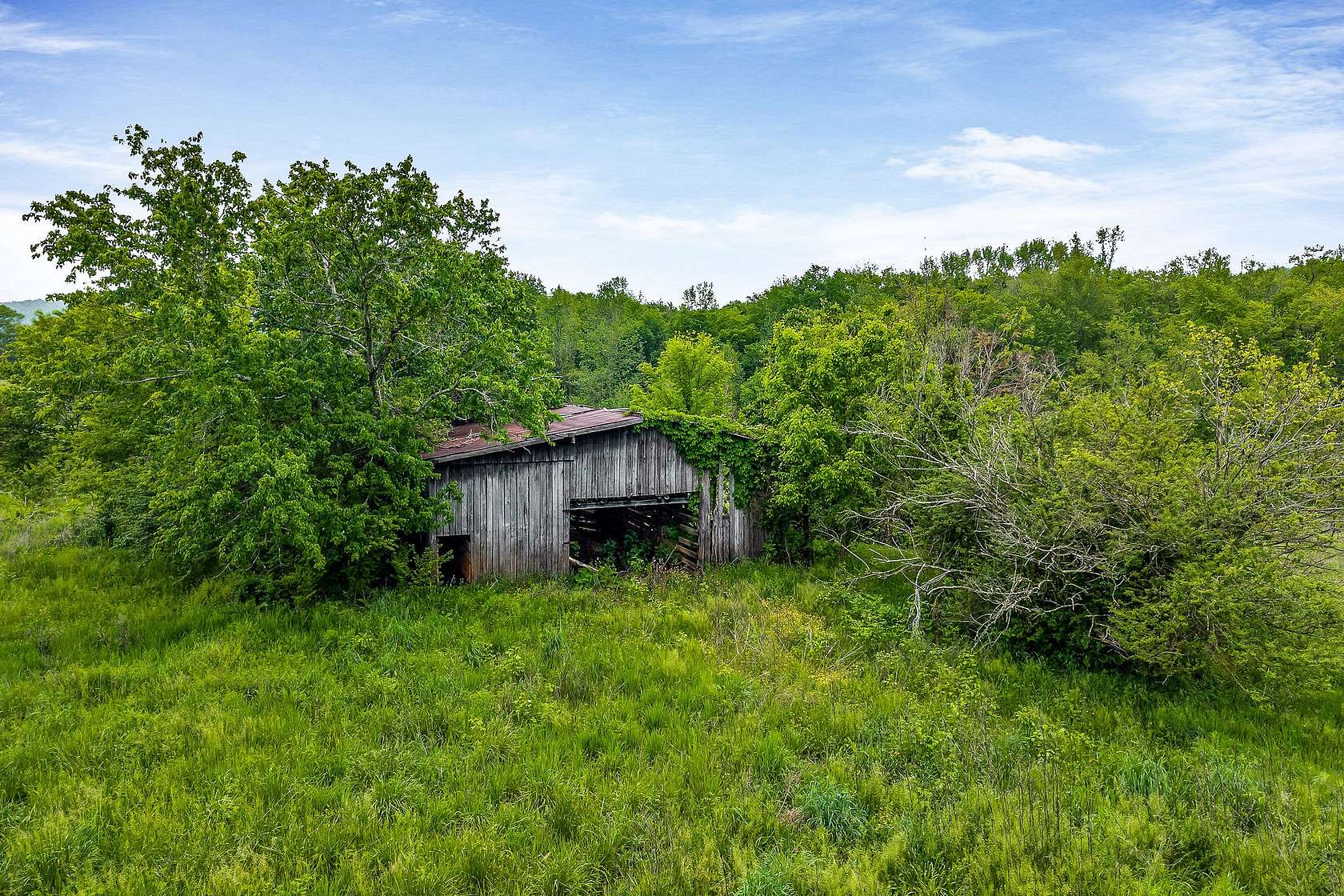 34.1 Acres of Agricultural Land for Sale in Sparta, Tennessee