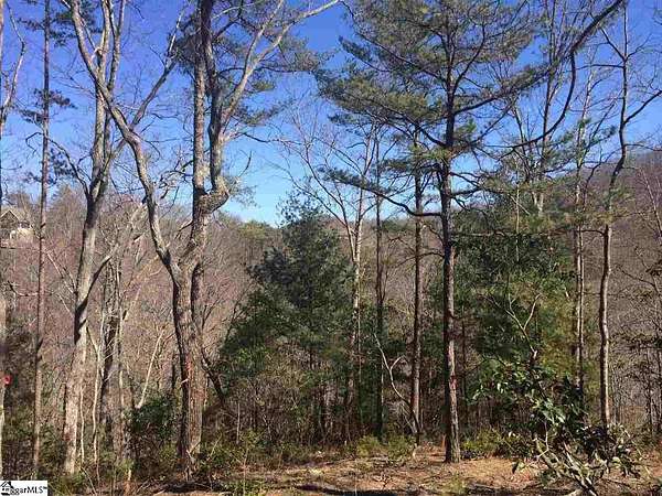 2.56 Acres of Residential Land for Sale in Travelers Rest, South Carolina