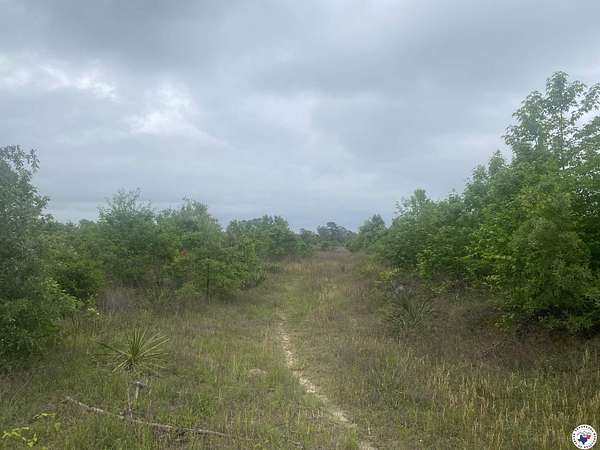 70.5 Acres of Recreational Land for Sale in Atlanta, Texas
