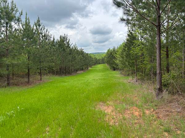 231 Acres of Recreational Land for Sale in Troy, North Carolina
