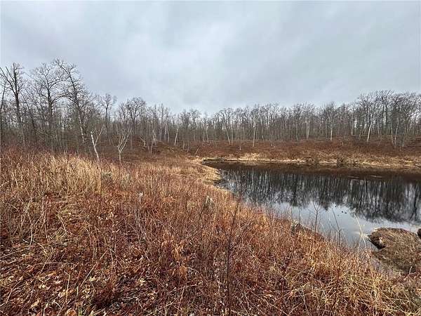 3.73 Acres of Land for Sale in Longville, Minnesota