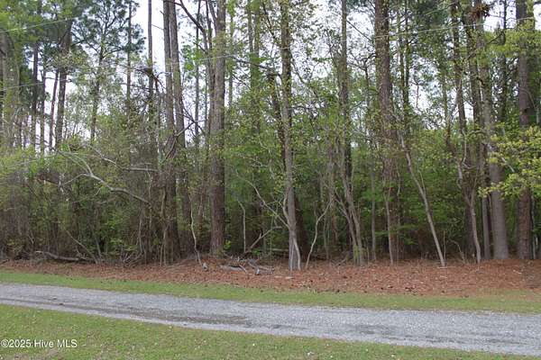 0.25 Acres of Residential Land for Sale in Edenton, North Carolina