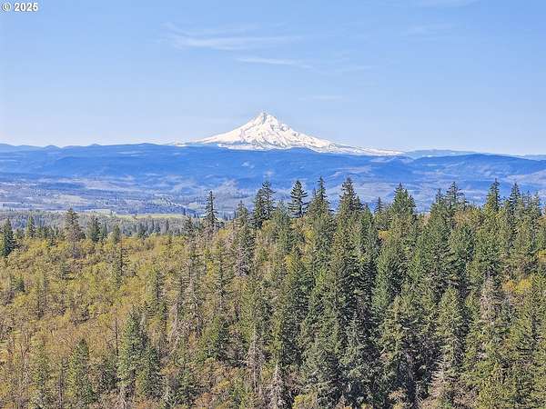 33 Acres of Agricultural & Residential Land for Sale in Lyle, Washington