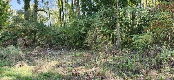 17.1 Acres of Recreational Land for Sale in Edwardsburg, Michigan