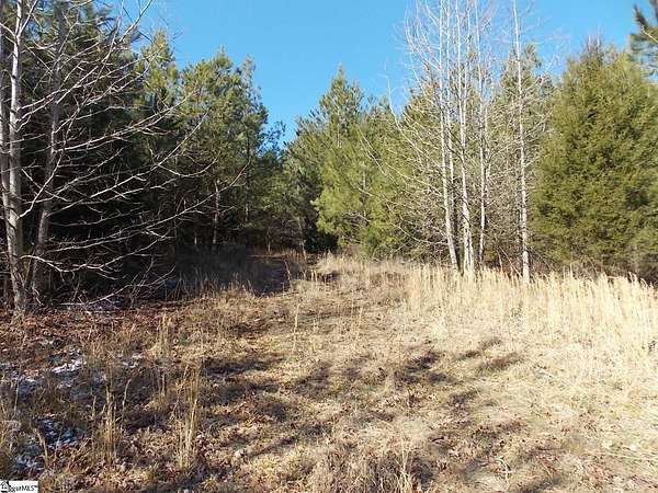 38 Acres of Land for Sale in Starr, South Carolina