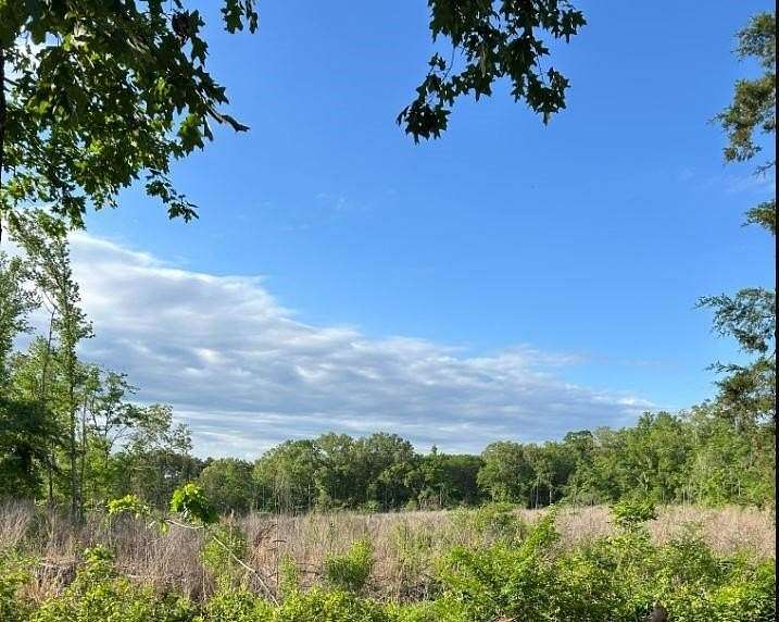 231 Acres of Recreational Land for Sale in Grand Cane, Louisiana