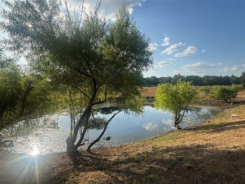 5 Acres of Residential Land for Sale in Nocona, Texas