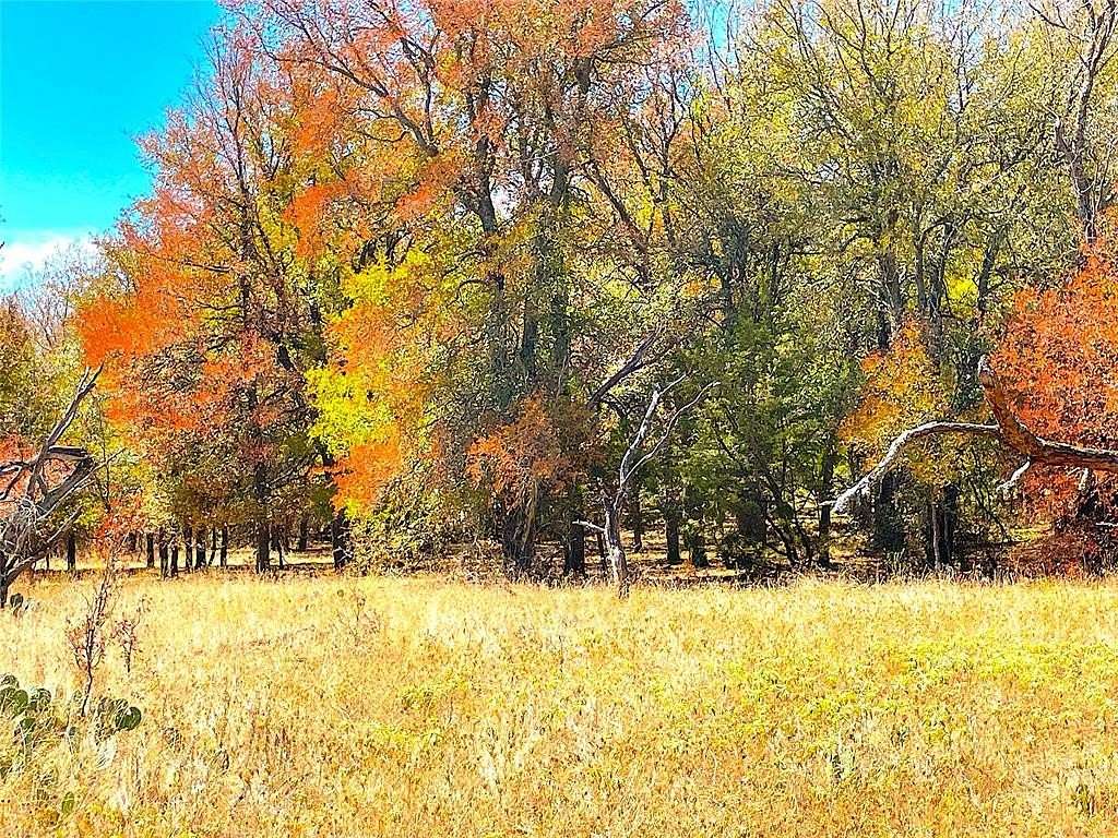 21 Acres of Land for Sale in Perrin, Texas