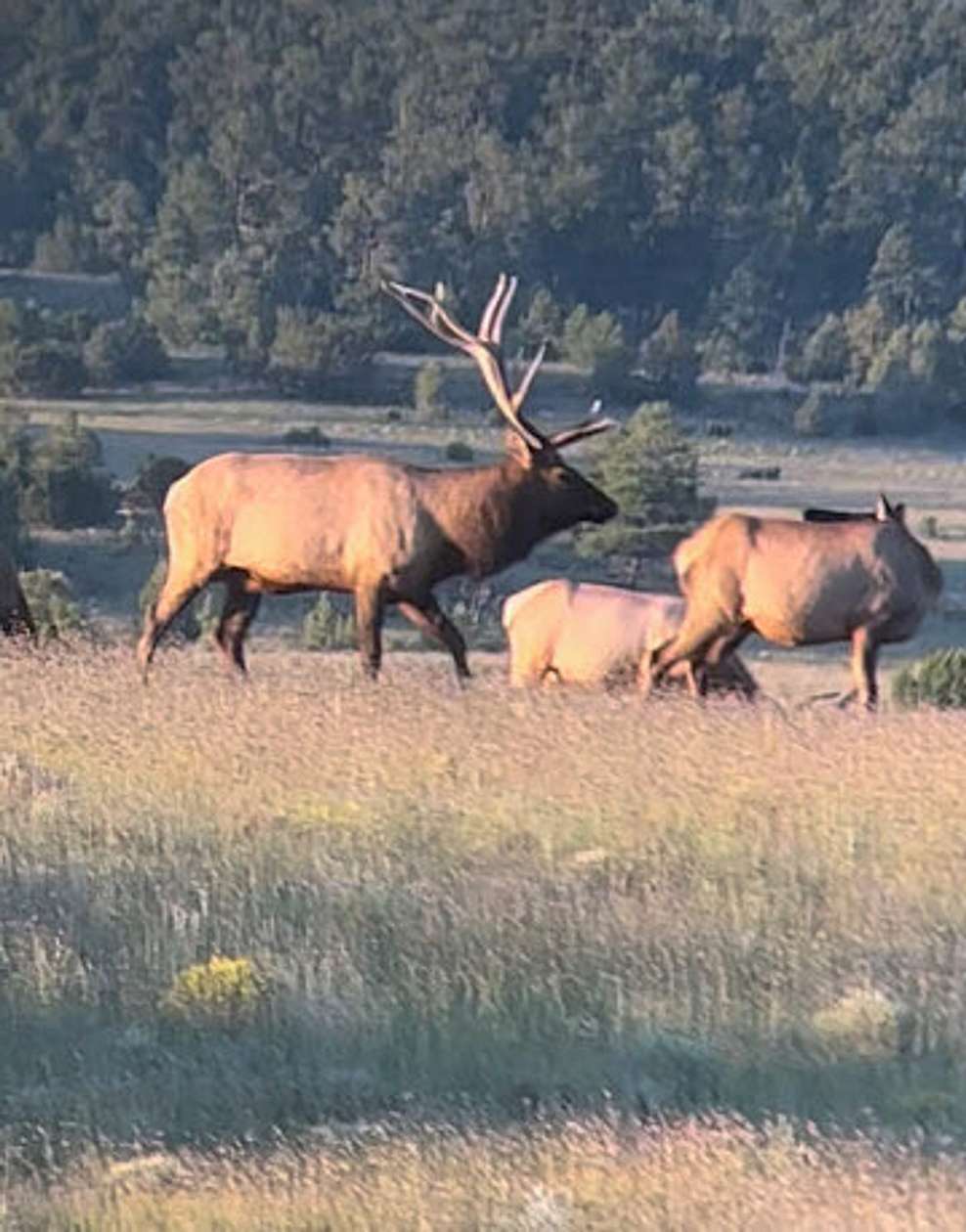 4,276 Acres of Recreational Land & Farm for Sale in Grants, New Mexico