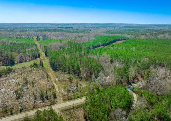 49 Acres of Recreational Land for Sale in Chester, South Carolina