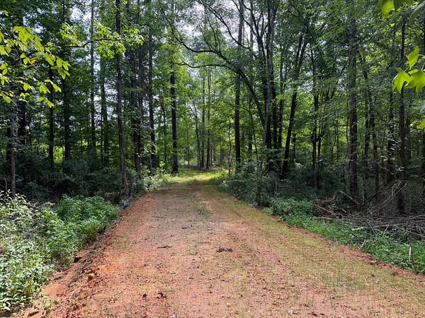 49 Acres of Recreational Land for Sale in Chester, South Carolina