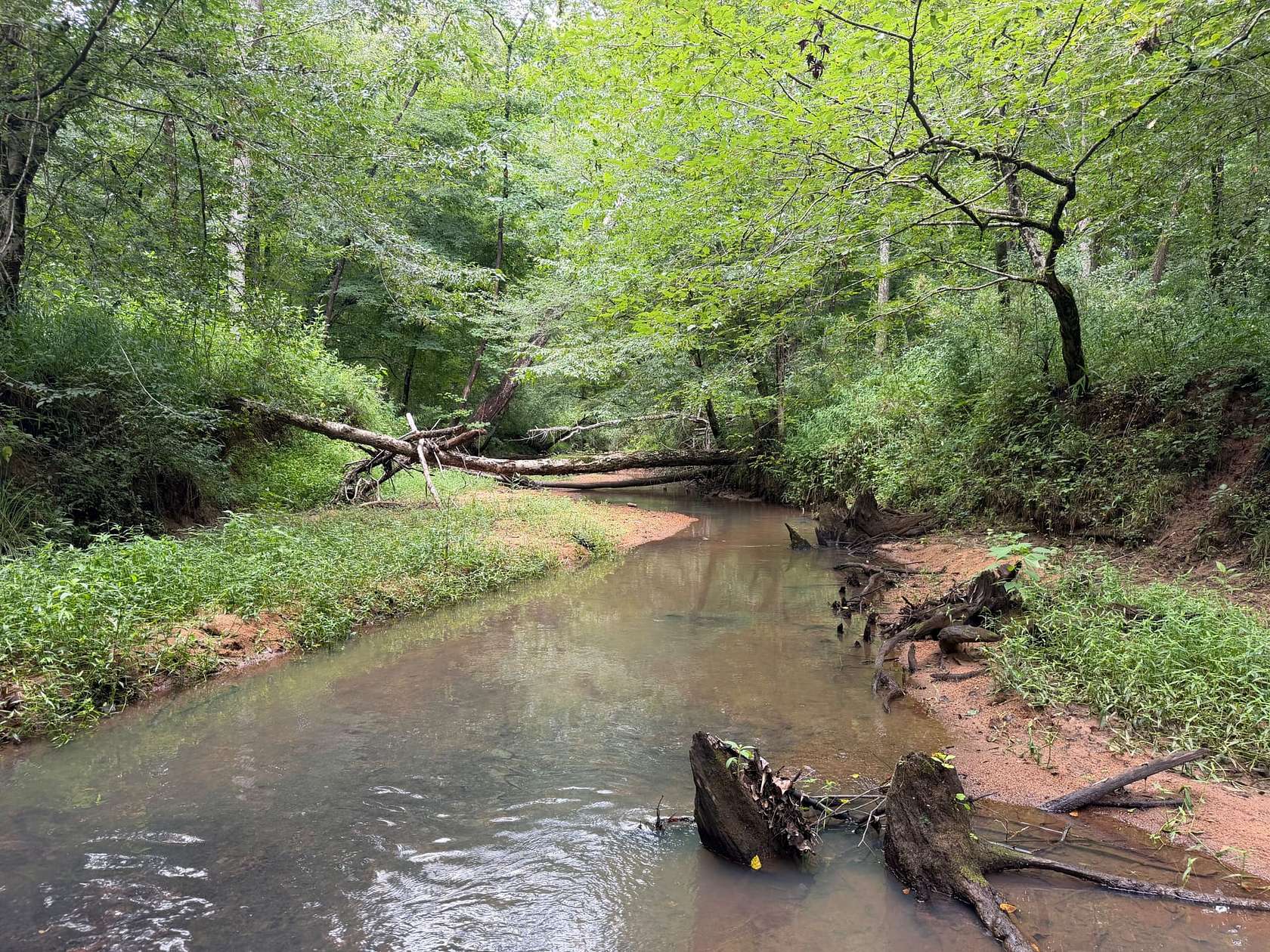 152 Acres of Recreational Land for Sale in Chester, South Carolina