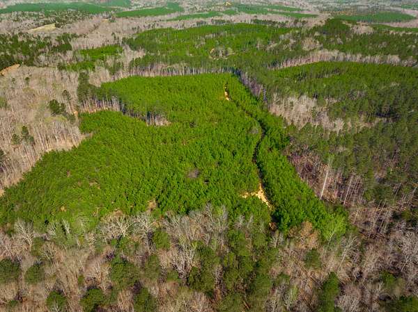 152 Acres of Recreational Land for Sale in Chester, South Carolina