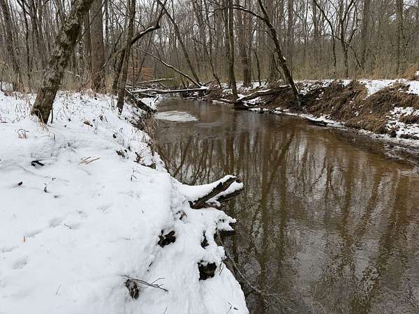 152 Acres of Recreational Land for Sale in Chester, South Carolina