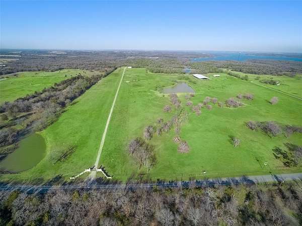 113 Acres of Land for Sale in Sadler, Texas