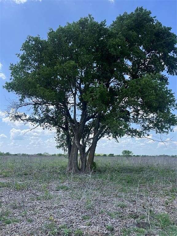 10 Acres of Land for Sale in Jonesboro, Texas