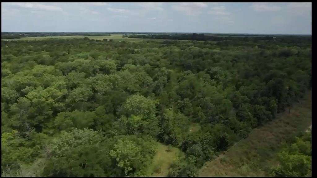 16.5 Acres of Land for Sale in Petty, Texas