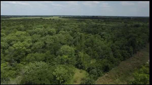 16.5 Acres of Land for Sale in Petty, Texas