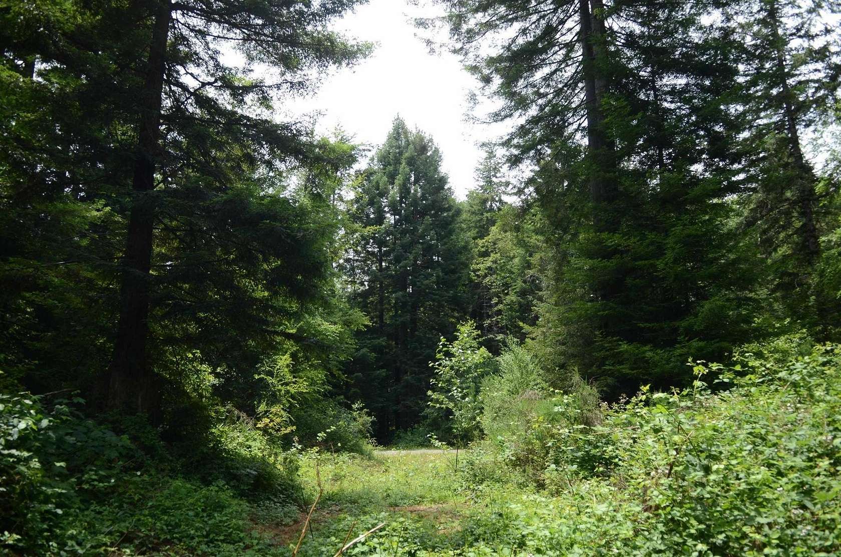 1 Acre of Residential Land for Sale in Crescent City, California