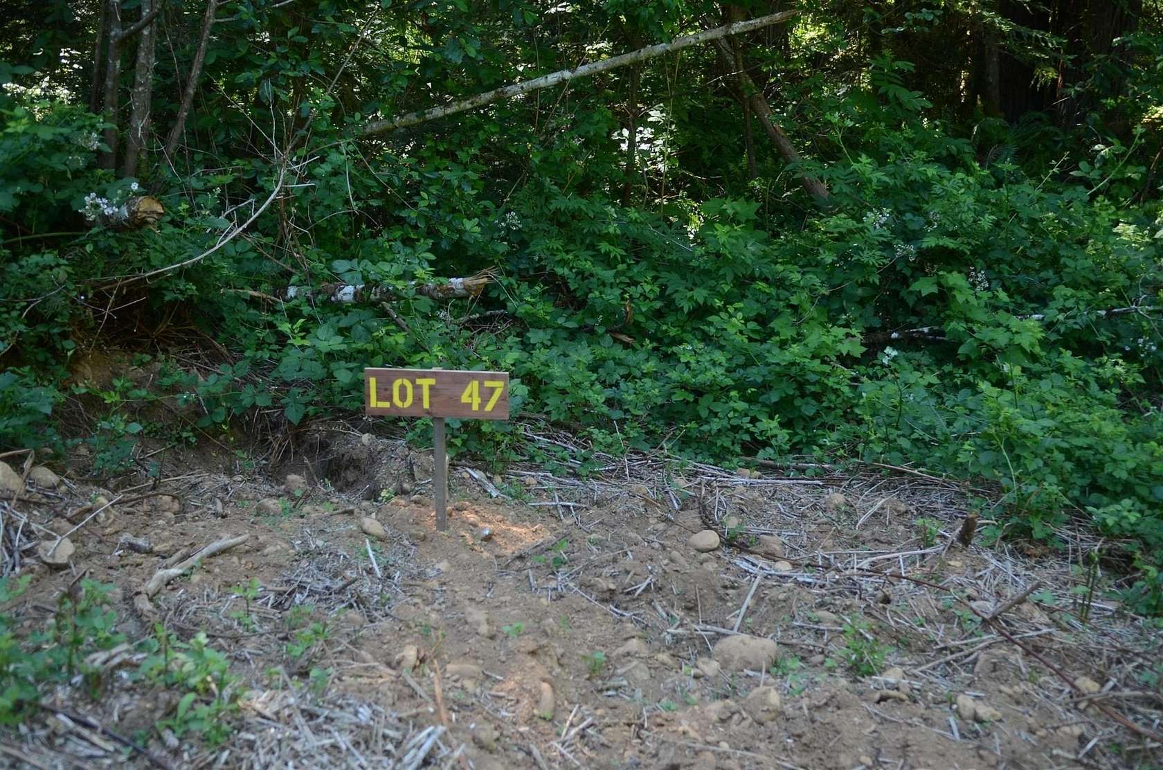 1 Acre of Residential Land for Sale in Crescent City, California