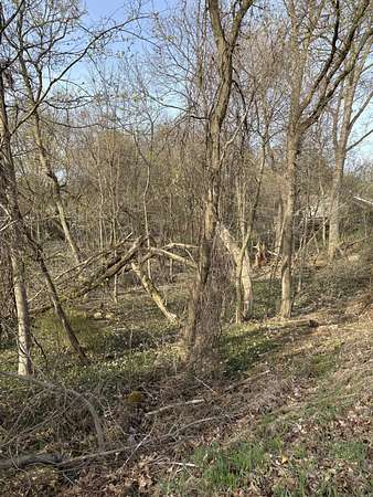 0.44 Acres of Residential Land for Sale in Greenville, Michigan