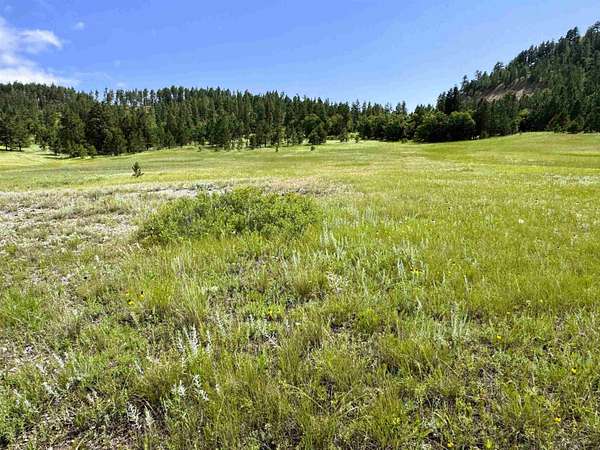 38.6 Acres of Agricultural Land for Sale in Hulett, Wyoming