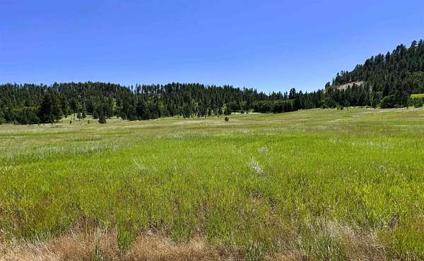 38.6 Acres of Agricultural Land for Sale in Hulett, Wyoming