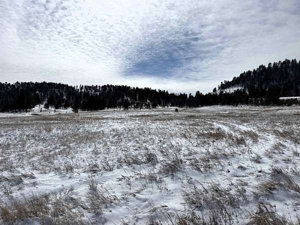 38.6 Acres of Agricultural Land for Sale in Hulett, Wyoming