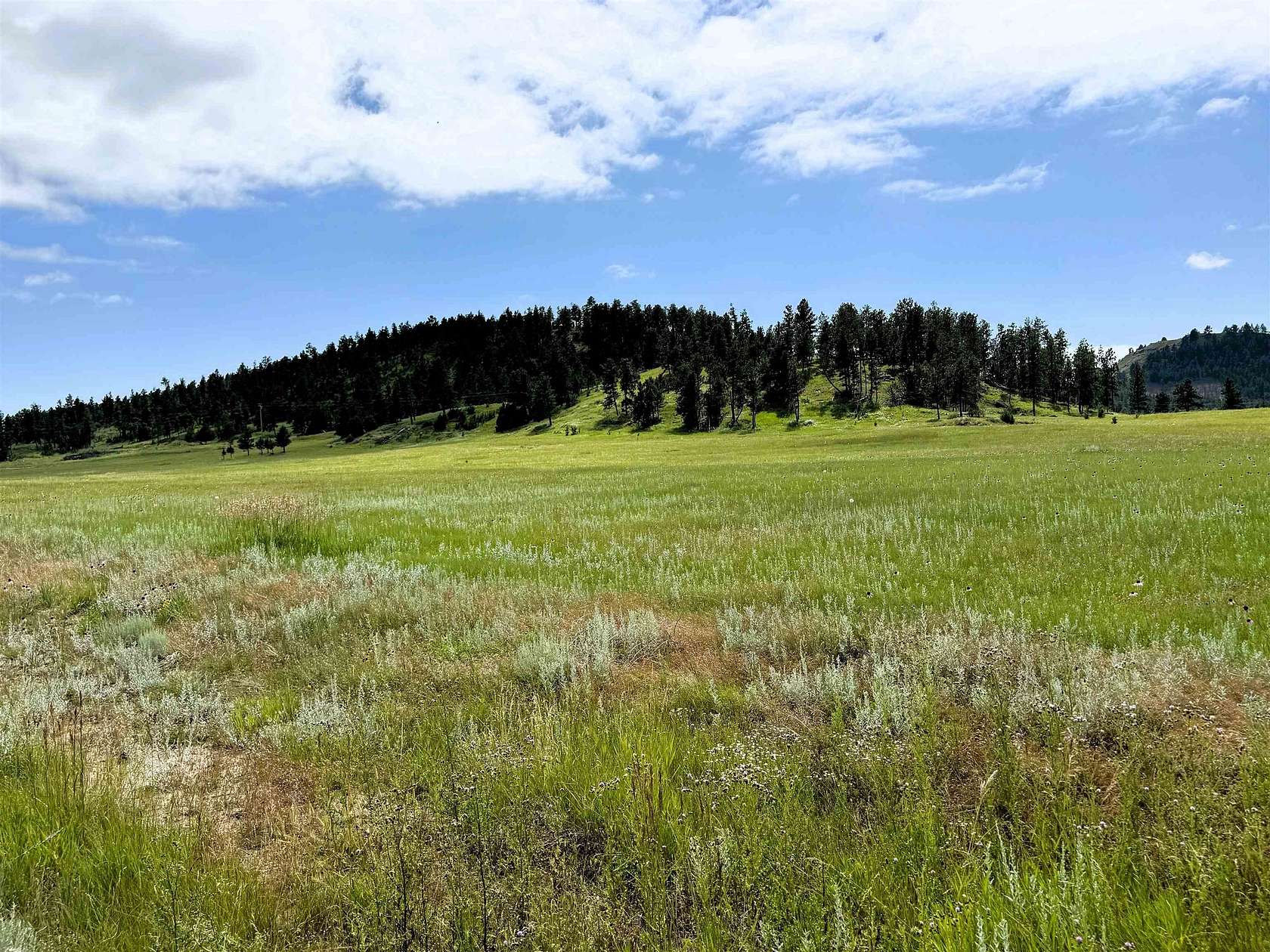 36.1 Acres of Agricultural Land for Sale in Hulett, Wyoming