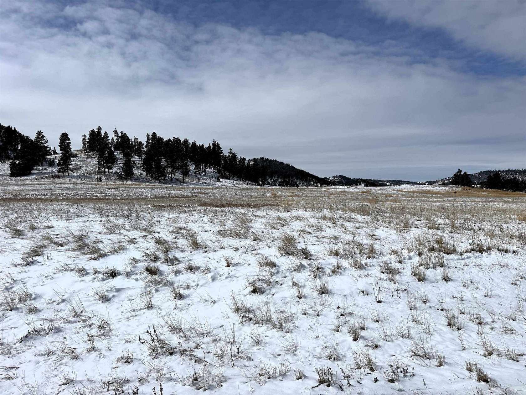 36.1 Acres of Agricultural Land for Sale in Hulett, Wyoming