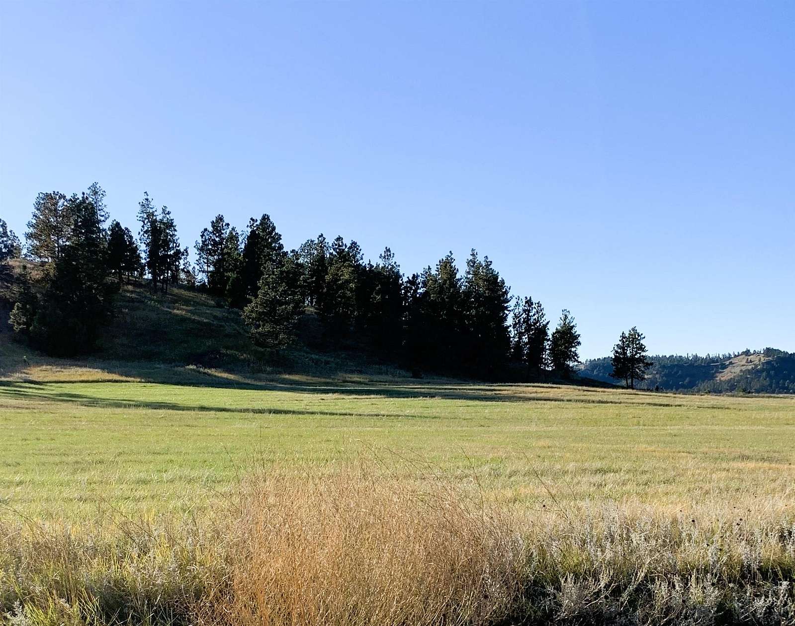 36.1 Acres of Agricultural Land for Sale in Hulett, Wyoming