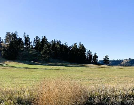 36.1 Acres of Agricultural Land for Sale in Hulett, Wyoming