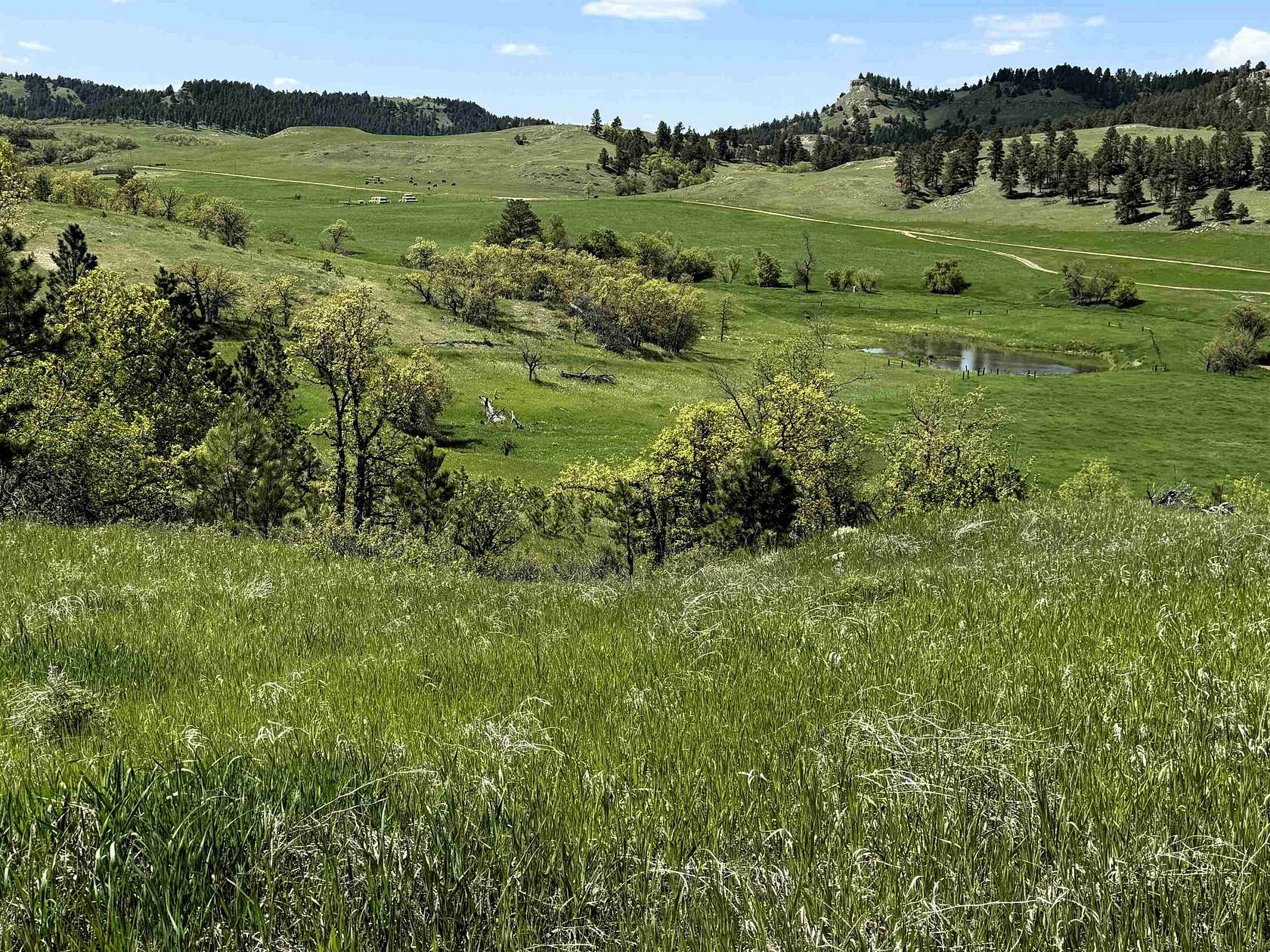 37.3 Acres of Agricultural Land for Sale in Hulett, Wyoming
