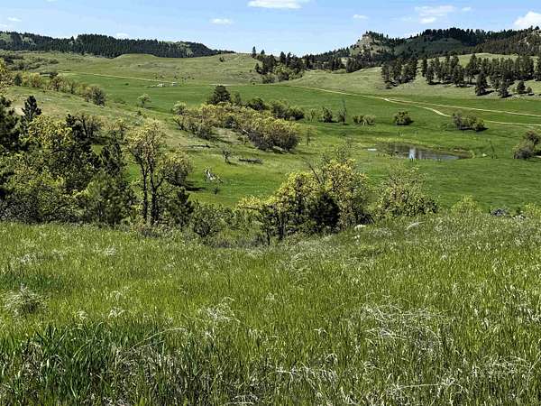 37.3 Acres of Agricultural Land for Sale in Hulett, Wyoming