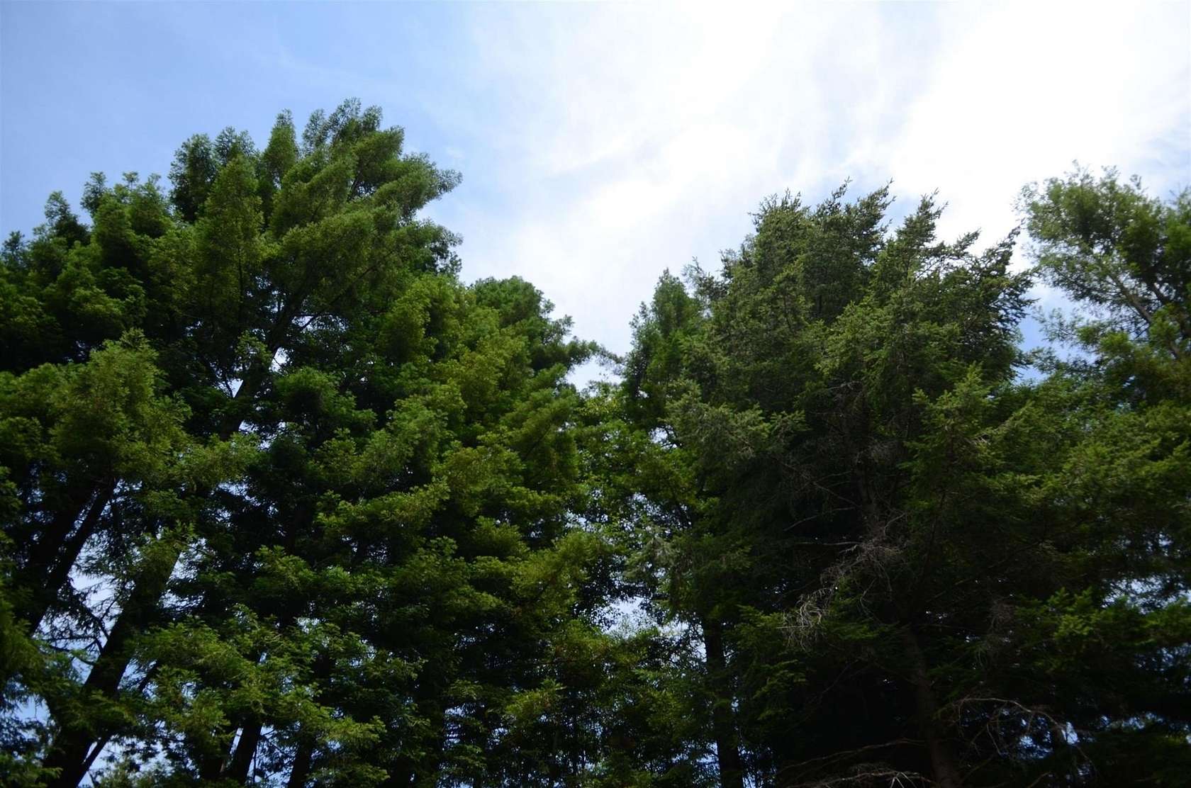 1 Acre of Residential Land for Sale in Crescent City, California