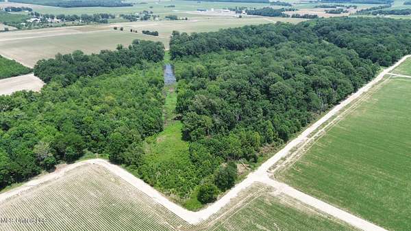 40 Acres of Recreational Land for Sale in Shaw, Mississippi