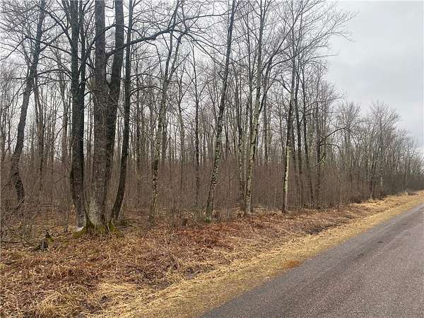40 Acres of Land for Sale in Ogema, Wisconsin
