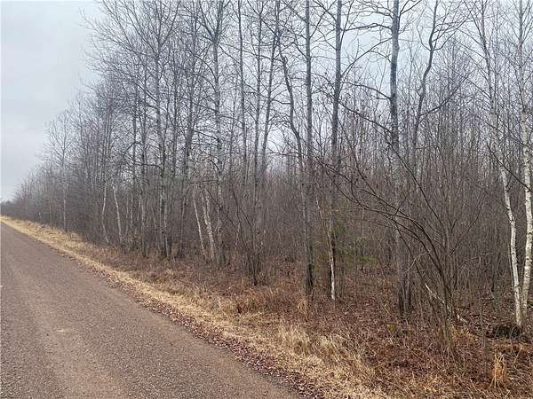 20 Acres of Land for Sale in Ogema, Wisconsin