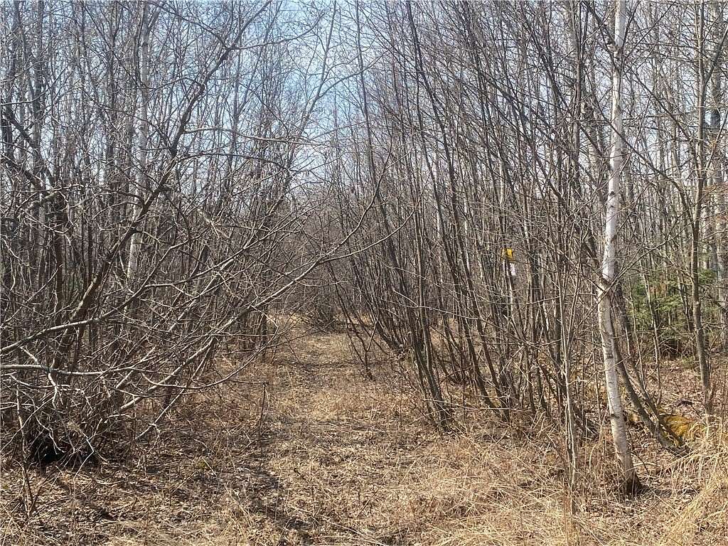320 Acres of Recreational Land for Sale in Kennan, Wisconsin
