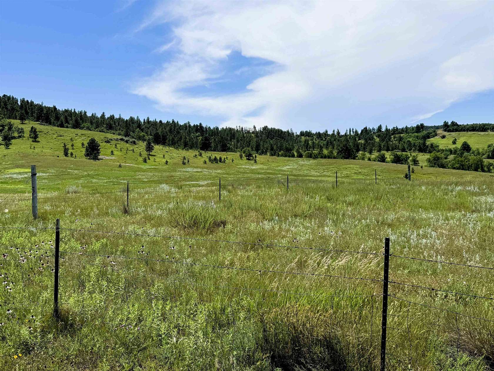 39.3 Acres of Agricultural Land for Sale in Hulett, Wyoming
