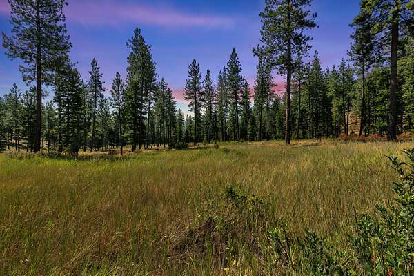 43.5 Acres of Recreational Land for Sale in Alberton, Montana