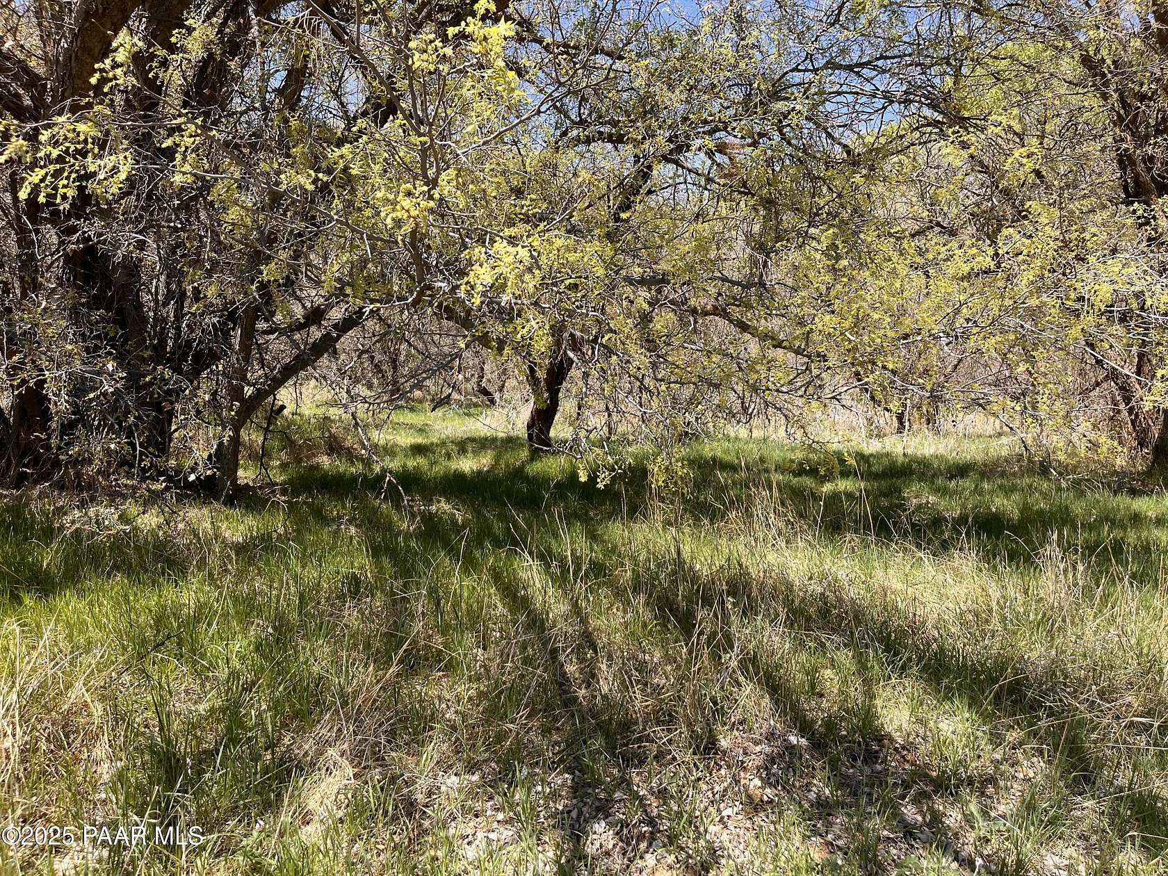 5 Acres of Residential Land for Sale in Skull Valley, Arizona