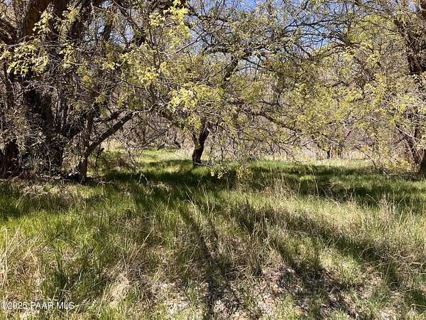 5 Acres of Residential Land for Sale in Skull Valley, Arizona