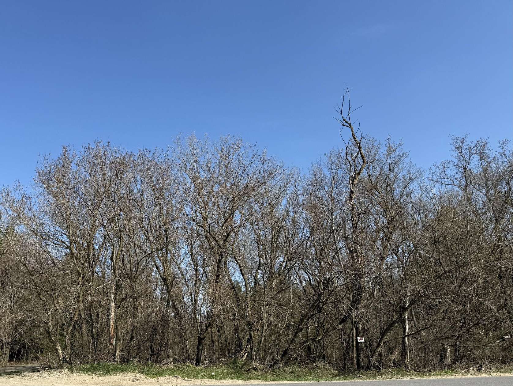 1 Acre of Residential Land for Sale in Malone, New York